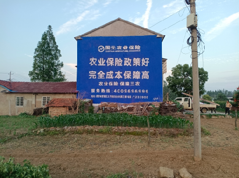 清涧墙体广告为何受追捧?